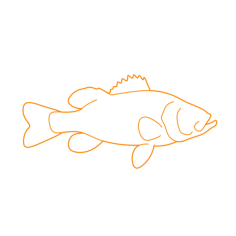 Animals Freshwater Fish Smallmouth Bass Sticker Outline Svg File, Free Vectors File